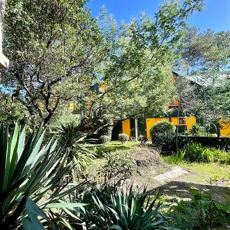 Апартаменты Duplex Dans Les Pins *